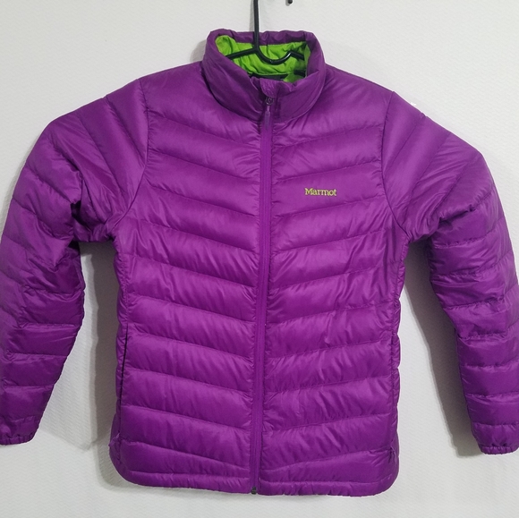 marmot puffer